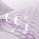 Joelheiras Compressão Flexy Ortopédica